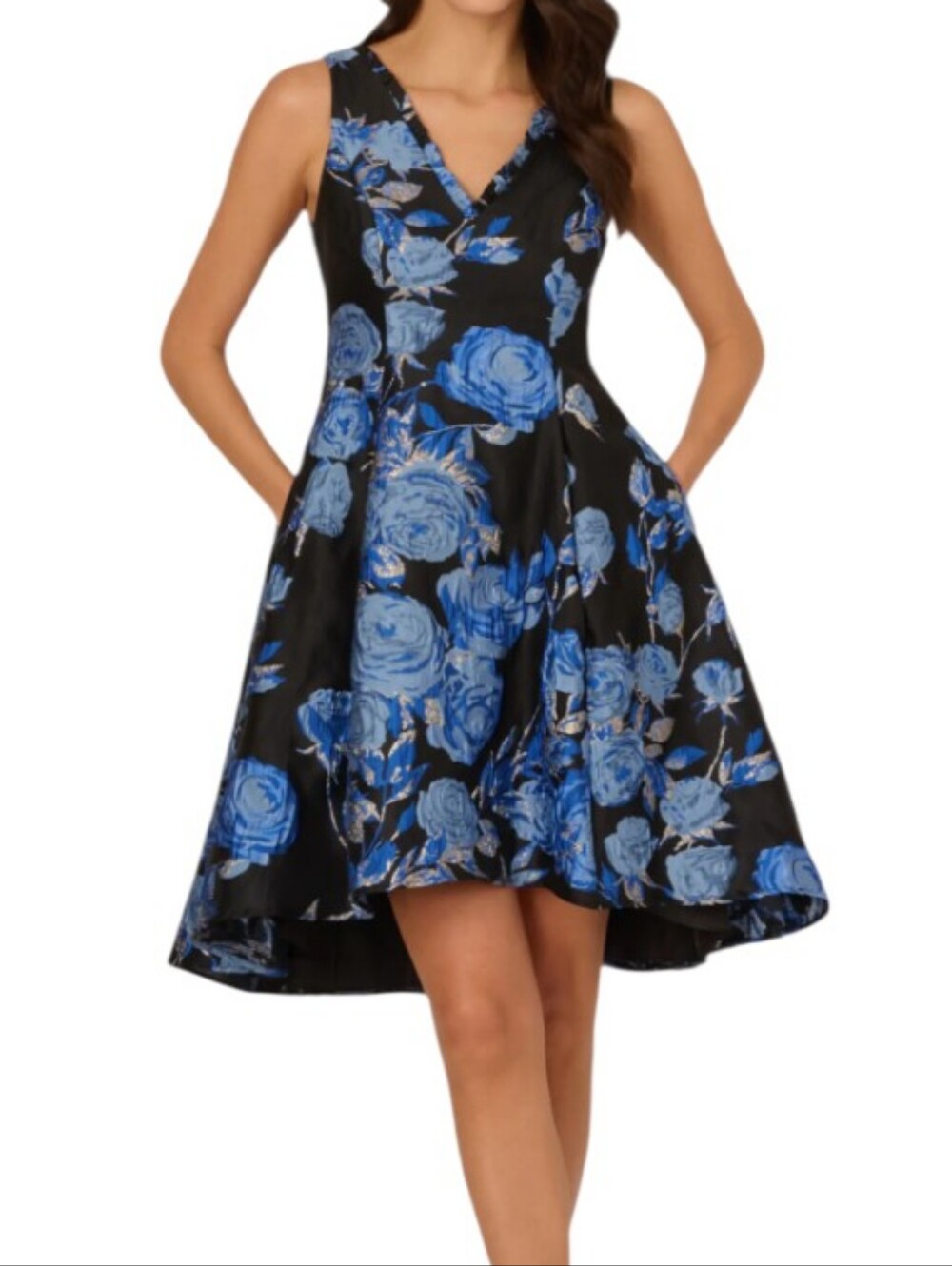 Floral V-Neck Fit & Flare Dress in Black and Blue